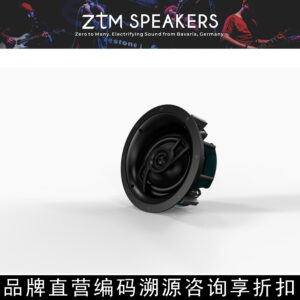 ZTM Speakers High-End Custom Home Theater Speakers CI650