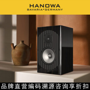 HANOWA BS8 8-inch 2-way 2-driver Hi-Fi Speaker